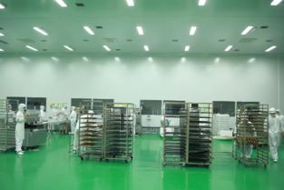 艾瑪琳北京燕窩月餅加工工廠煥新升級，技術(shù)與設(shè)備全面革新